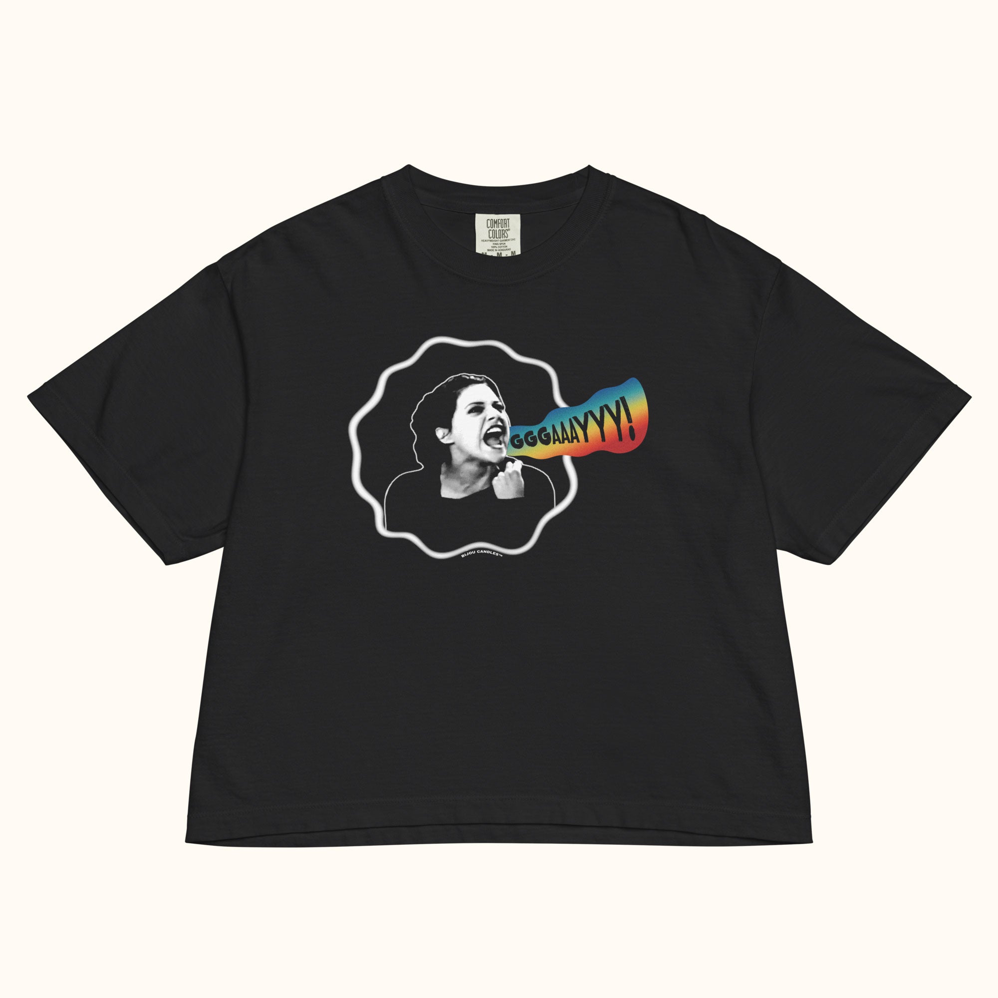 Lisa Swenson Gay Premium Crop Top