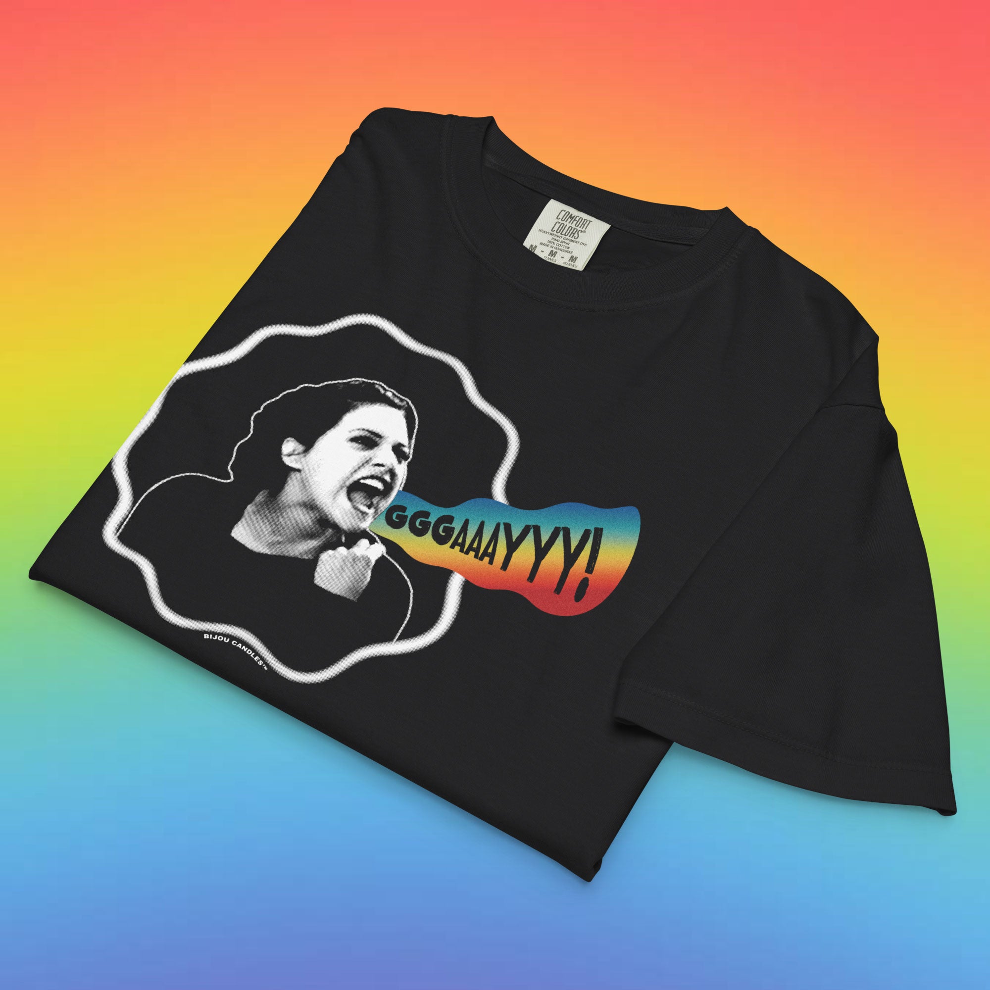 Lisa Swenson Gay Women's Premium Crop Top
