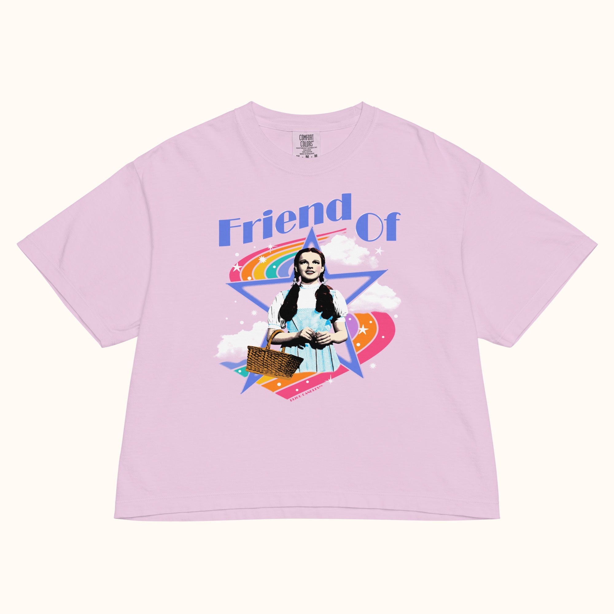 Friend Of Dorothy Premium Crop Top