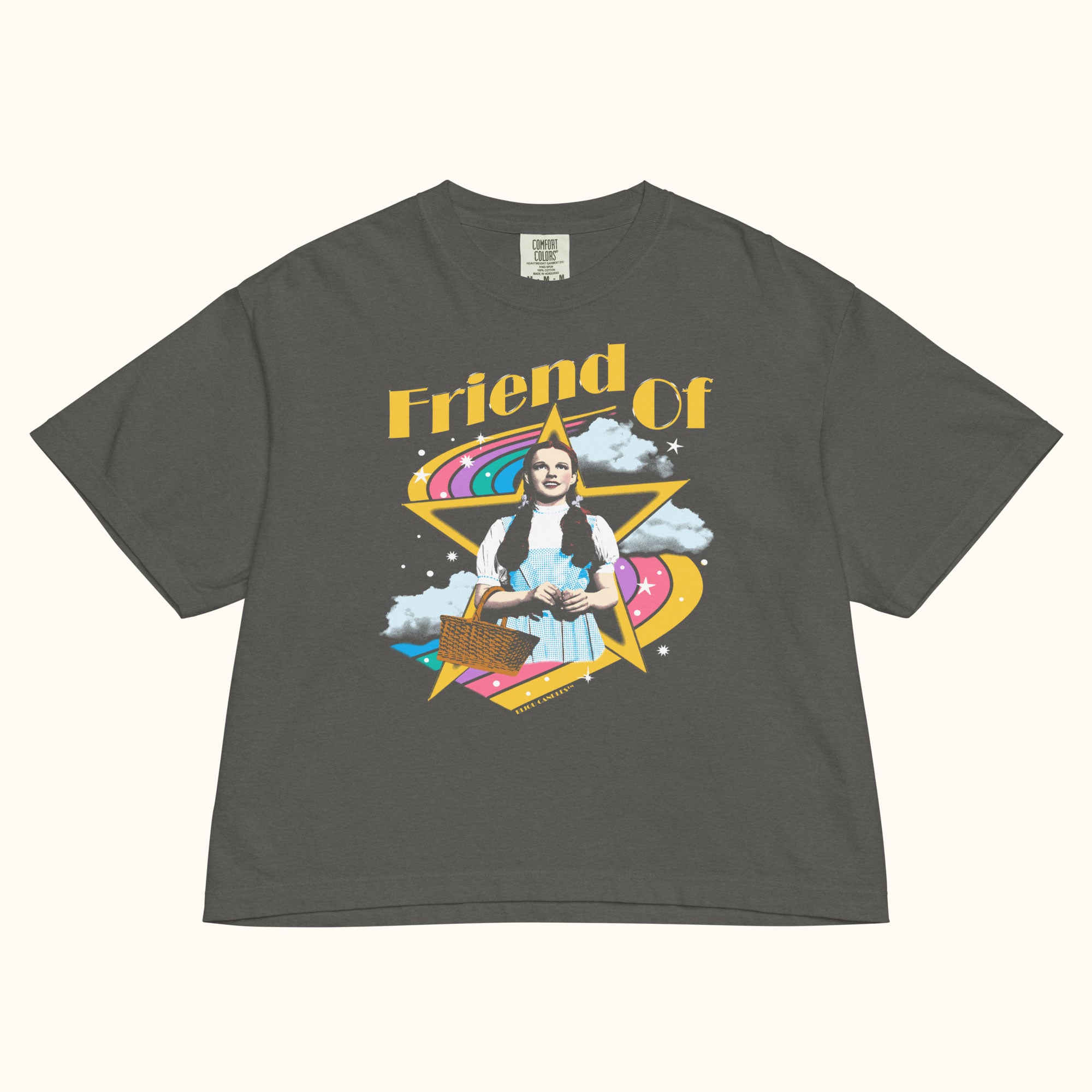 Friend Of Dorothy Women's Premium Crop Top