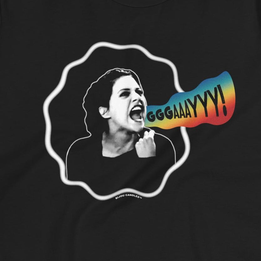 Lisa Swenson Gay Women's T-Shirt